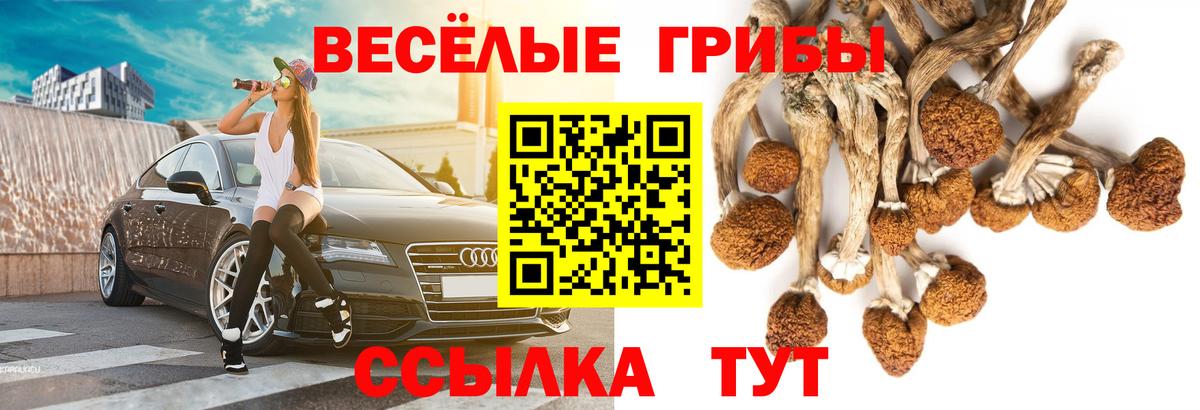 Усинск  Галлюциногенные грибы Psilocybe  Вход с VPN  Галлюциногенные грибы Magic Shrooms 